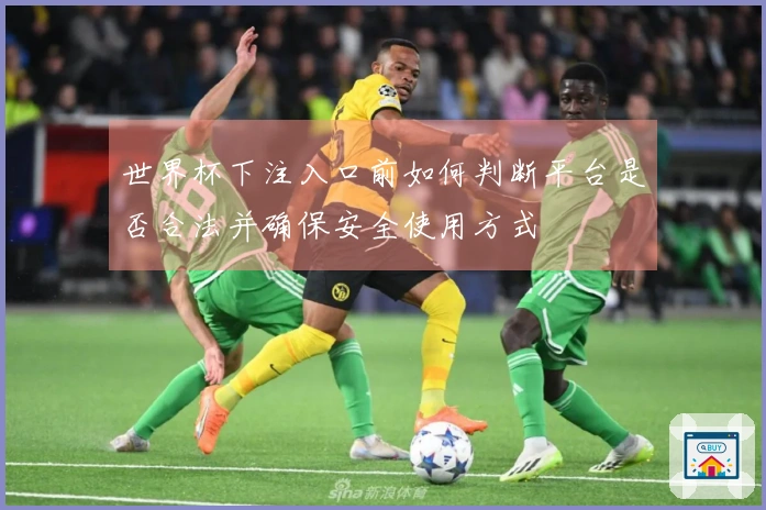 世界杯下注入口前如何判断平台是否合法并确保安全使用方式