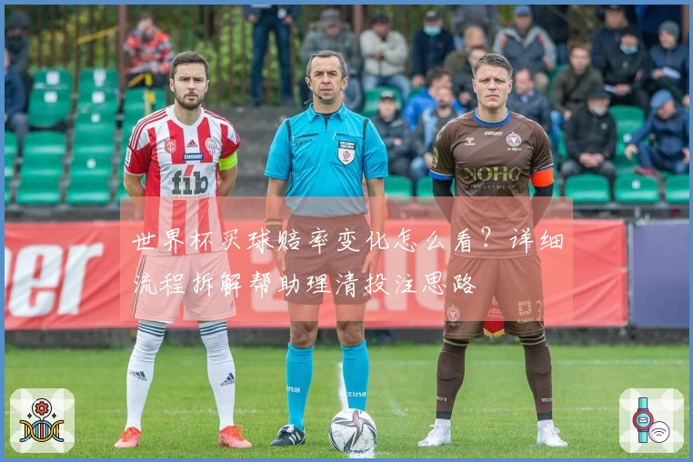 世界杯买球赔率变化怎么看？详细流程拆解帮助理清投注思路